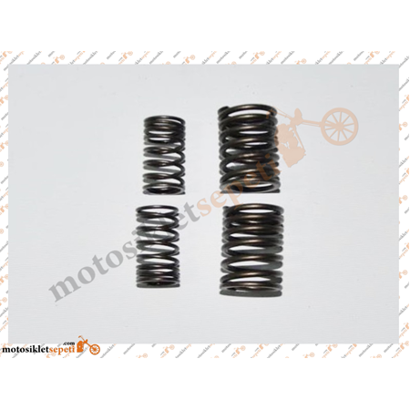 Sibob Yayı Takım - Kuba Rocca 100